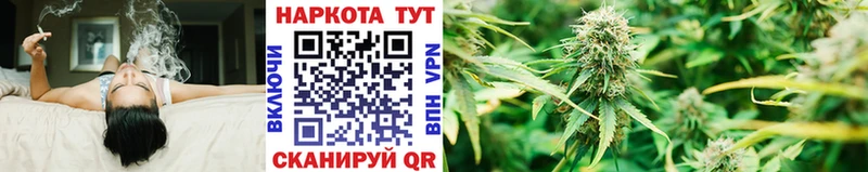 Названия наркотиков Тихорецк Alpha-PVP  Галлюциногенные грибы  MEGA ТОР  Канабис 