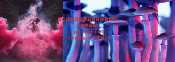 молекула духа Зерноград