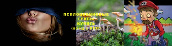 дурь Зеленокумск