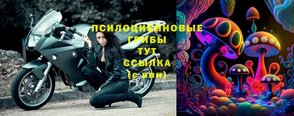 молекула духа Зерноград