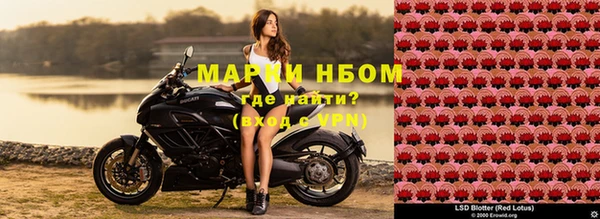 молекула духа Зерноград