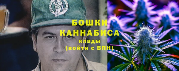 молекула духа Зерноград