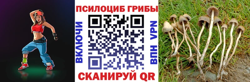Псилоцибиновые грибы мицелий Тихорецк
